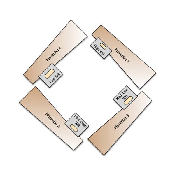 Scenes from the Woods - setup Scenes from the Woods - setup